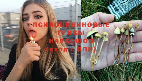 спайс Алексеевка