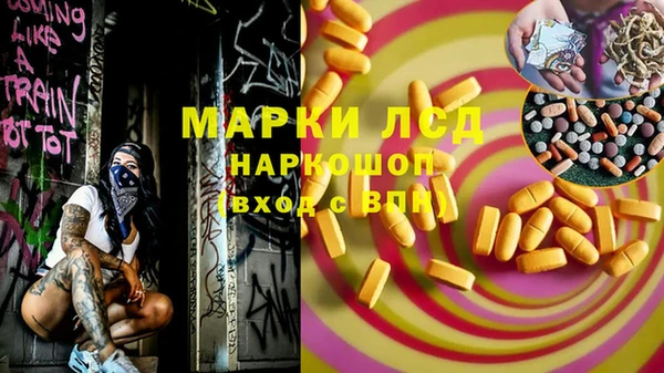крисы Алзамай
