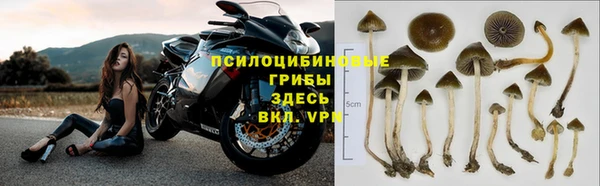 спайс Алексеевка