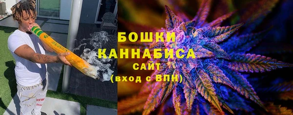 стафф Осташков
