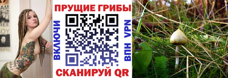 Галлюциногенные грибы прущие грибы  Анива 